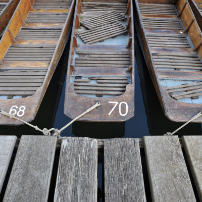 Punts moored at Cherwell Boathouse, Oxford