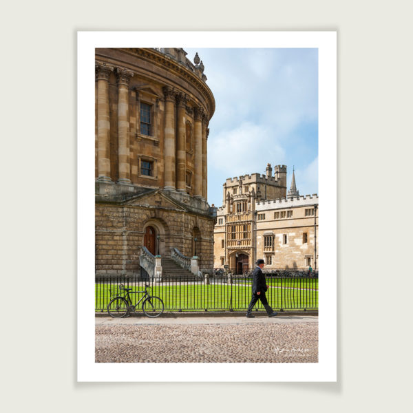 Bulldog in Radcliffe Square, Oxford