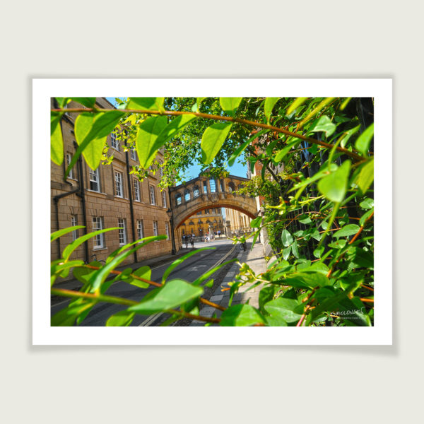 The Bridge of Sighs, Oxford