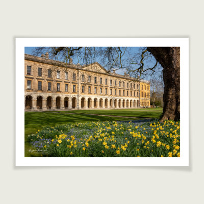 Spring Flowers at Magdalen College, Oxford