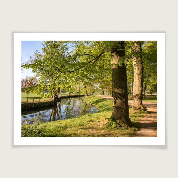 Spring on the River Cherwell, Oxford