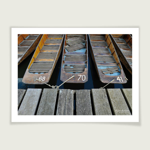 Punts moored at Cherwell Boathouse, Oxford