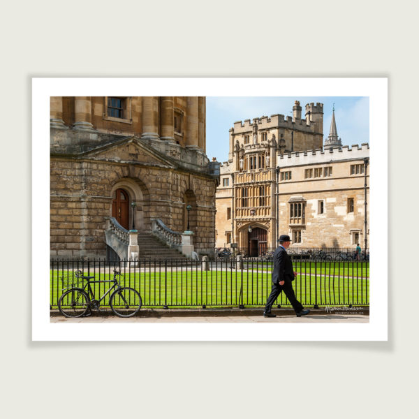 Bulldog walking across Radcliffe Square, Oxford